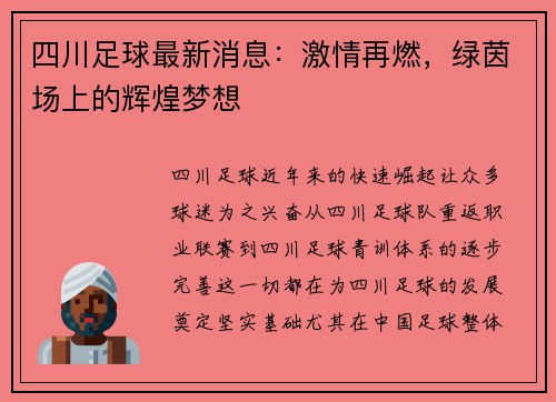 四川足球最新消息：激情再燃，绿茵场上的辉煌梦想
