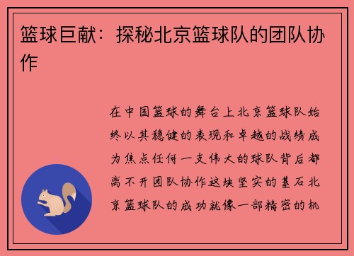 篮球巨献：探秘北京篮球队的团队协作