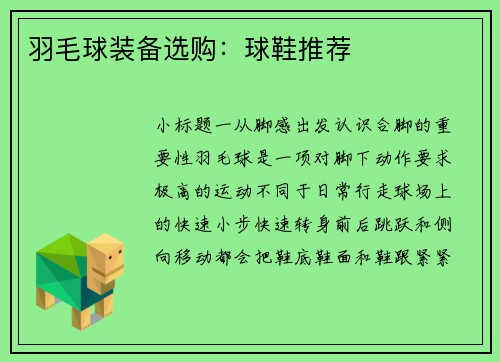 羽毛球装备选购：球鞋推荐